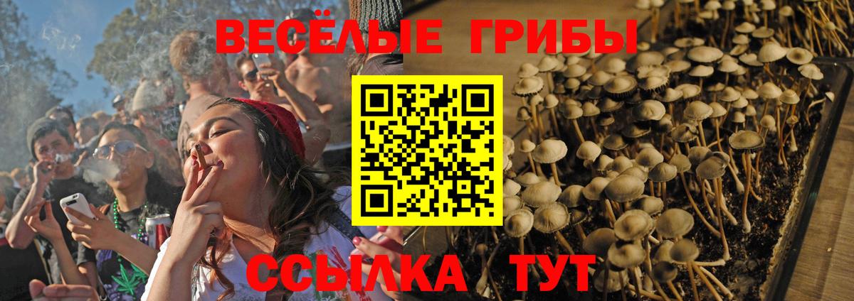 Псилоцибиновые грибы GOLDEN TEACHER  Вход с VPN  Бутурлиновка 