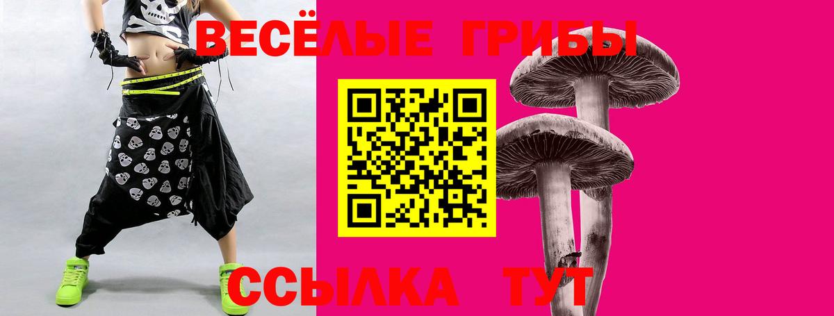 Галлюциногенные грибы Psilocybe Бутурлиновка